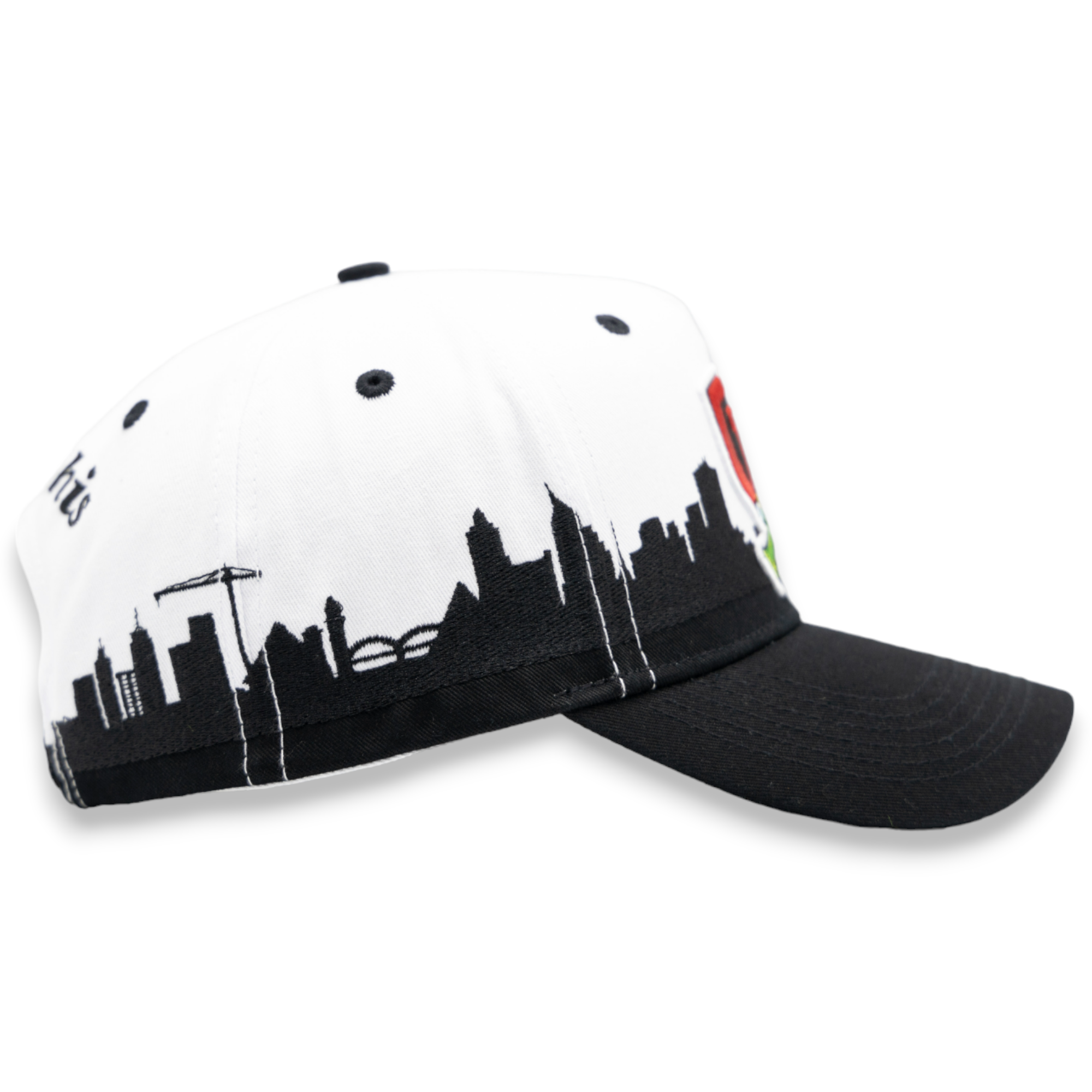 GTH ( MEMPHIS ) SKYLINE SNAPBACK CAP