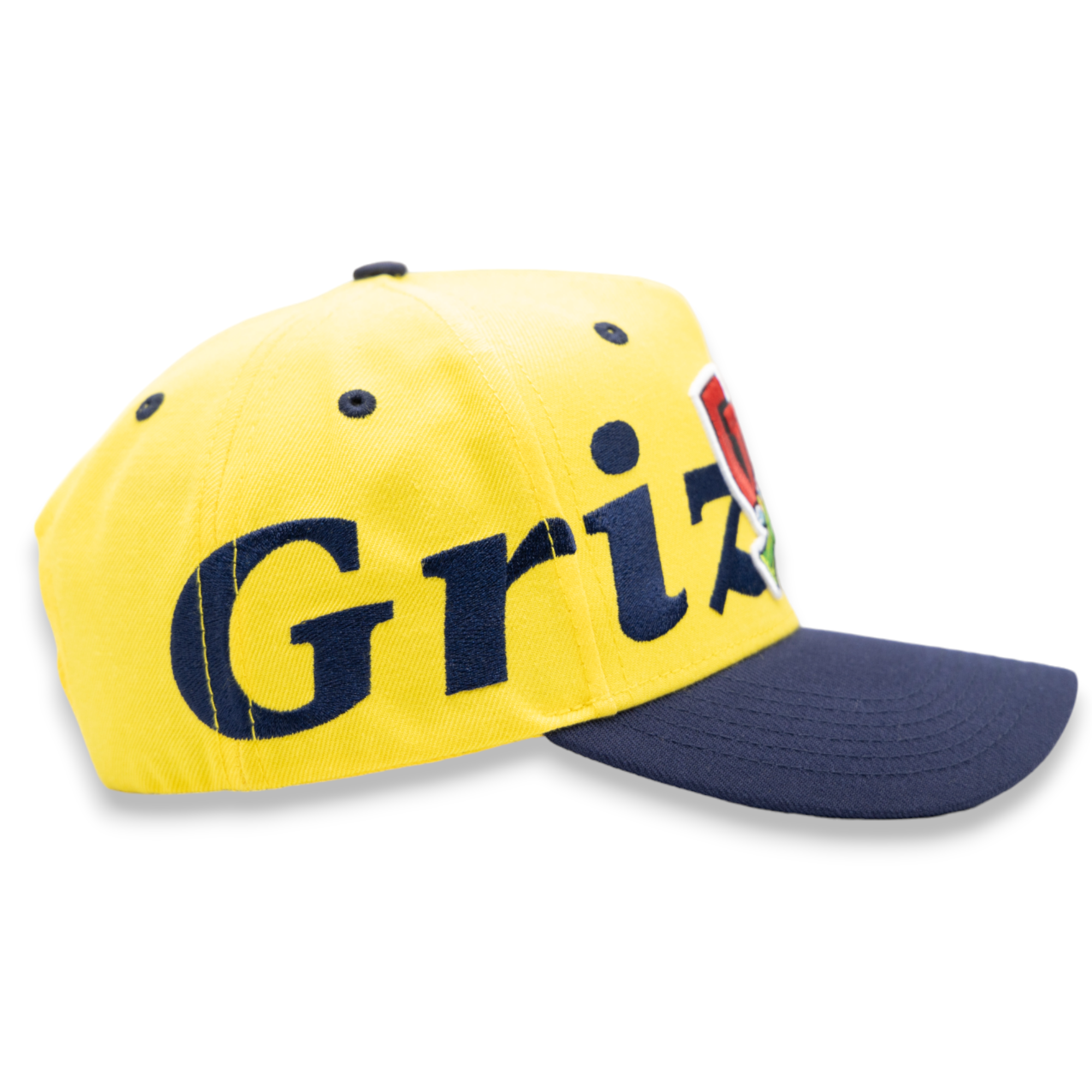 GTH BOLD ( GRIZZLIES ) ALL AROUND SNAPBACK CAP