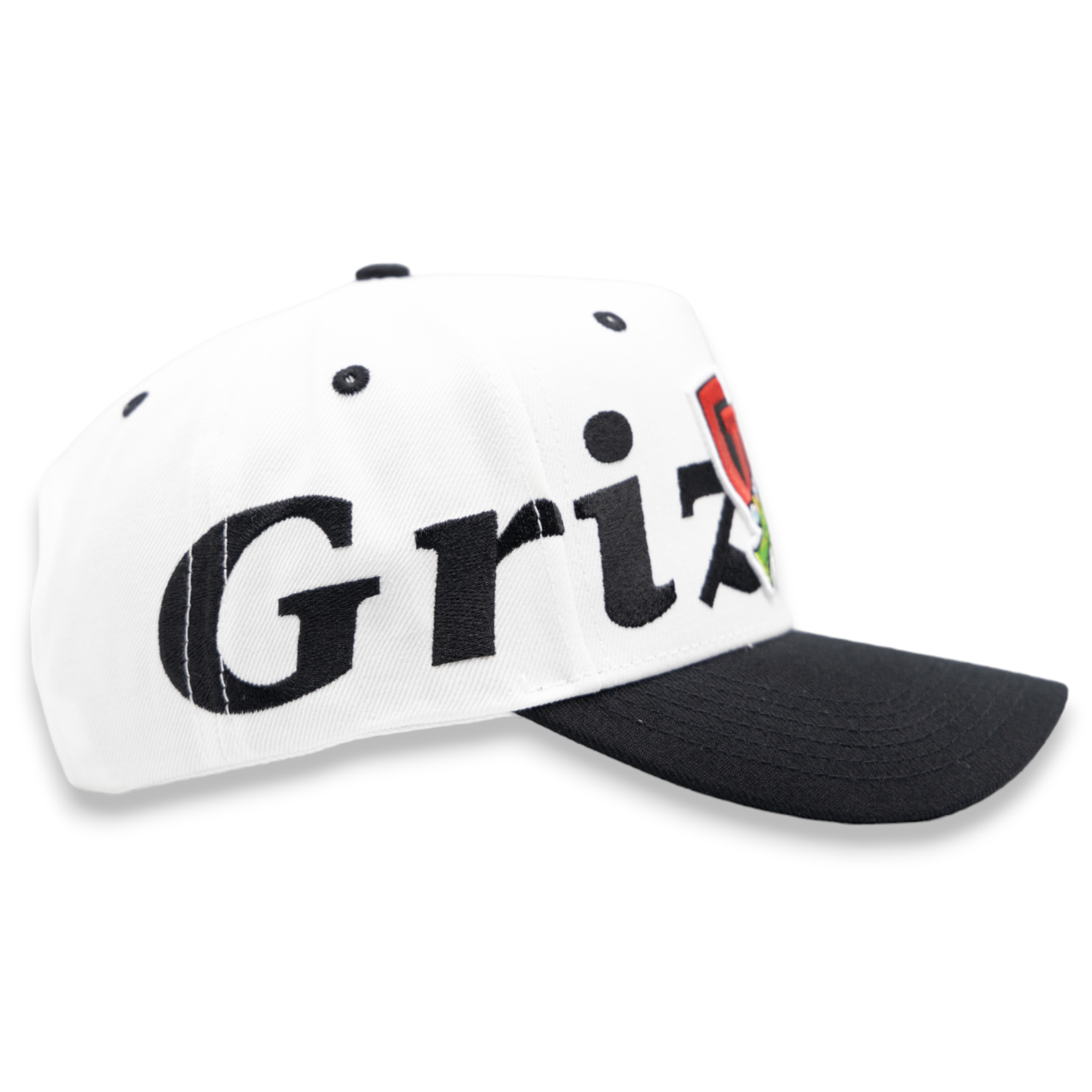 GTH BOLD ( GRIZZLIES ) ALL AROUND SNAPBACK CAP